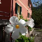 Bella Favale di Malvaro