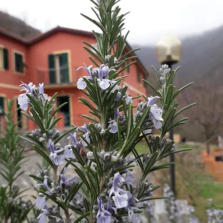 Bed & Breakfast Bella Favale di Malvaro