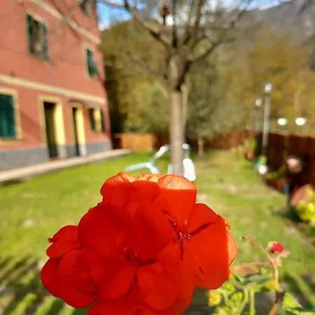 Villa Bella Liguria B&B فندق مبيت وإفطار Favale di Malvaro