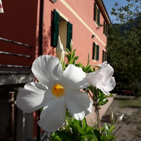 Bella Liguria Favale di Malvaro