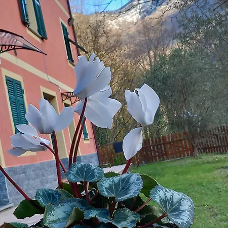 Bella Liguria Favale di Malvaro