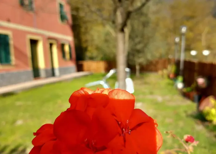 Bella Bed and Breakfast Favale di Malvaro