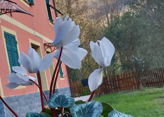 Bella Favale di Malvaro